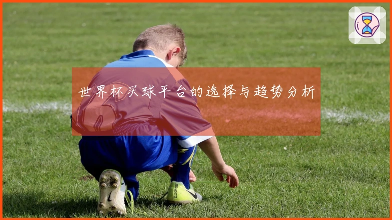 世界杯买球平台的选择与趋势分析