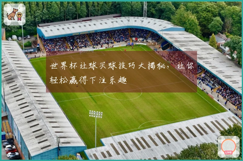 世界杯让球买球技巧大揭秘，让你轻松赢得下注乐趣