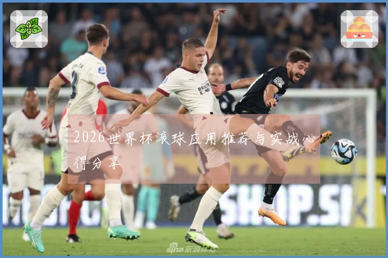 2026世界杯滚球应用推荐与实战心得分享