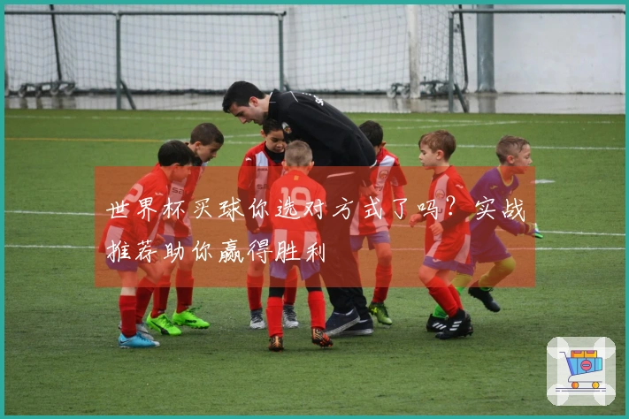 世界杯买球你选对方式了吗？实战推荐助你赢得胜利