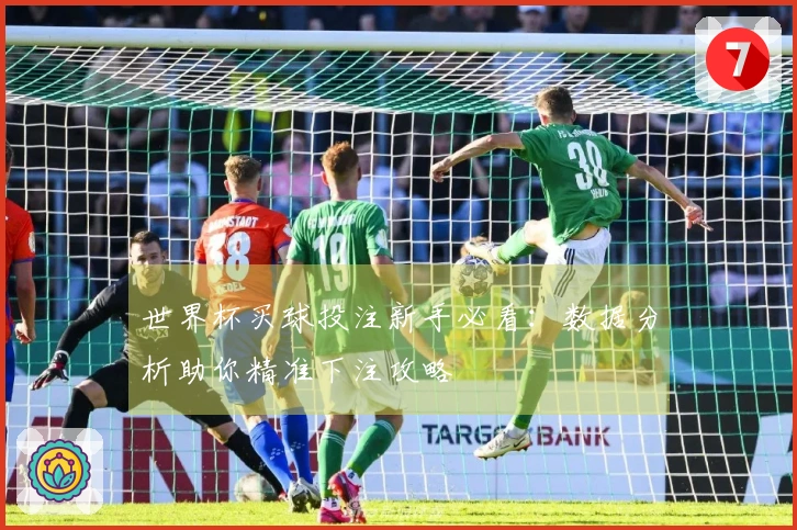 世界杯买球投注新手必看：数据分析助你精准下注攻略