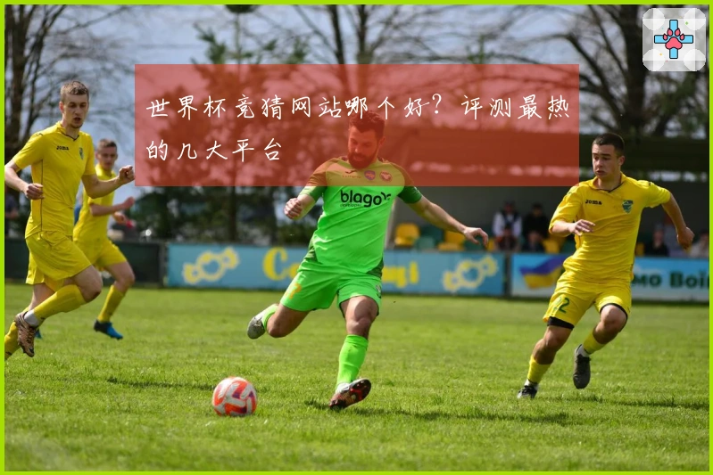 世界杯竞猜网站哪个好？评测最热的几大平台