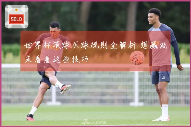 世界杯滚球买球规则全解析 想赢就来看看这些技巧