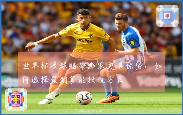 世界杯滚球赔率哪家更具优势，如何选择最划算的投注方式