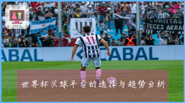 世界杯买球平台的选择与趋势分析