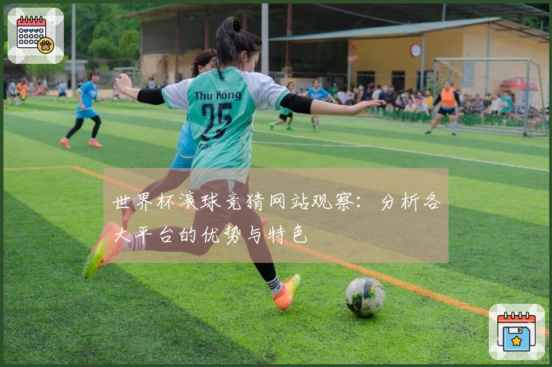 世界杯滚球竞猜网站观察：分析各大平台的优势与特色