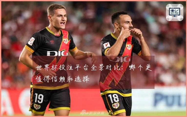 世界杯投注平台全景对比：哪个更值得信赖和选择